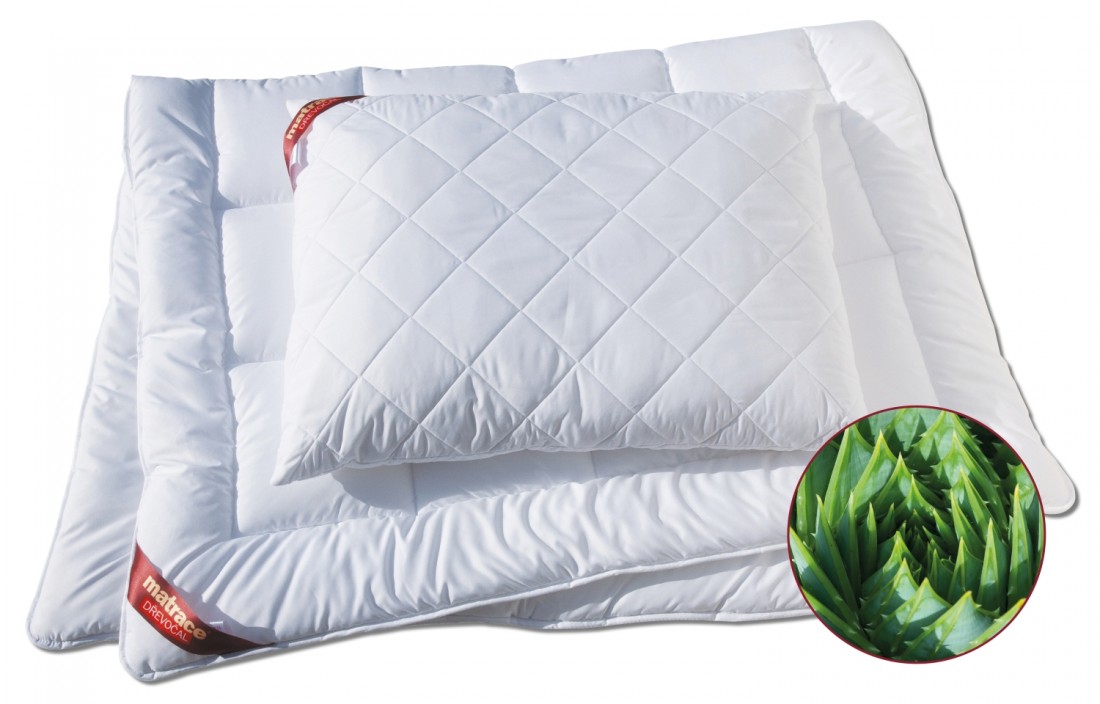 Dřevočal polštář Aloe Vera
